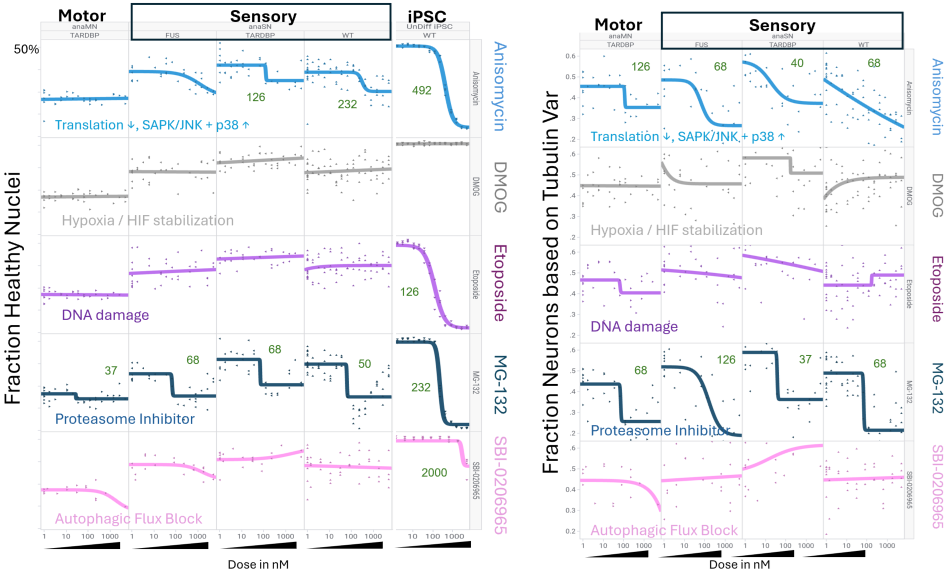 Combined motor, sensory, and iPSC dose-response overview for set 2